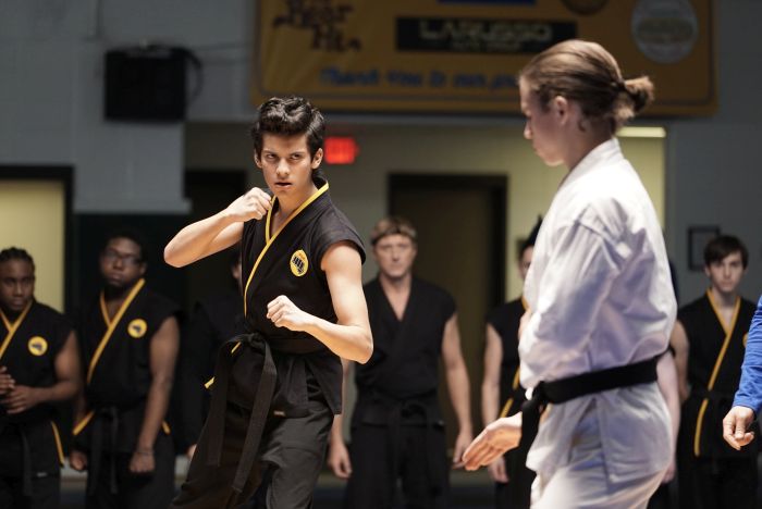 Cobra Kai: La lucha por la supremacía llega a Warner Channel, ¡no te pierdas el estreno el 15 de enero!