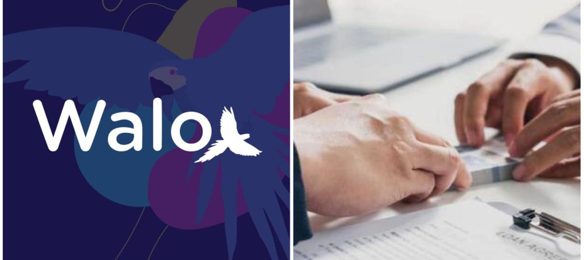 Walo busca liderar la inclusión financiera en Colombia con créditos rápidos y flexibles para personas y empresas