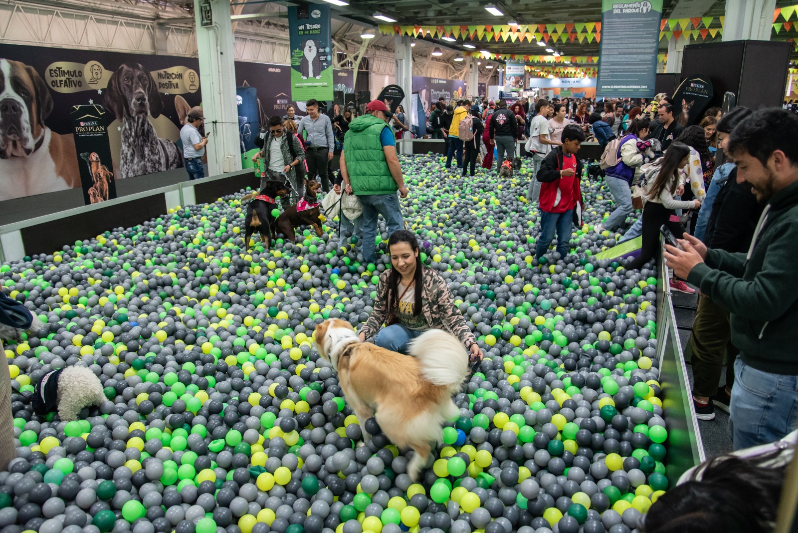 Vínculo, juego y emoción: la experiencia sensorial de Jei el de los Perros en Expopet